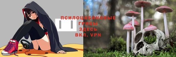 альфа пвп Заволжье