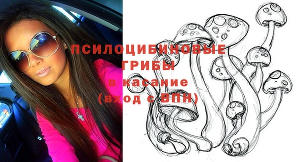 дживик Заволжск