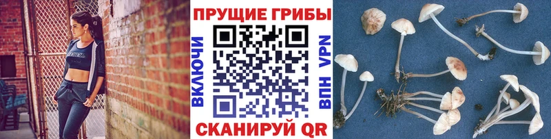 Псилоцибиновые грибы Psilocybine cubensis  ОМГ ОМГ ССЫЛКА  Ишимбай 